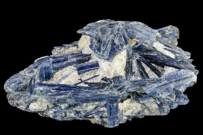 Vibrant Blue Kyanite Crystals In Quartz - Brazil #113490